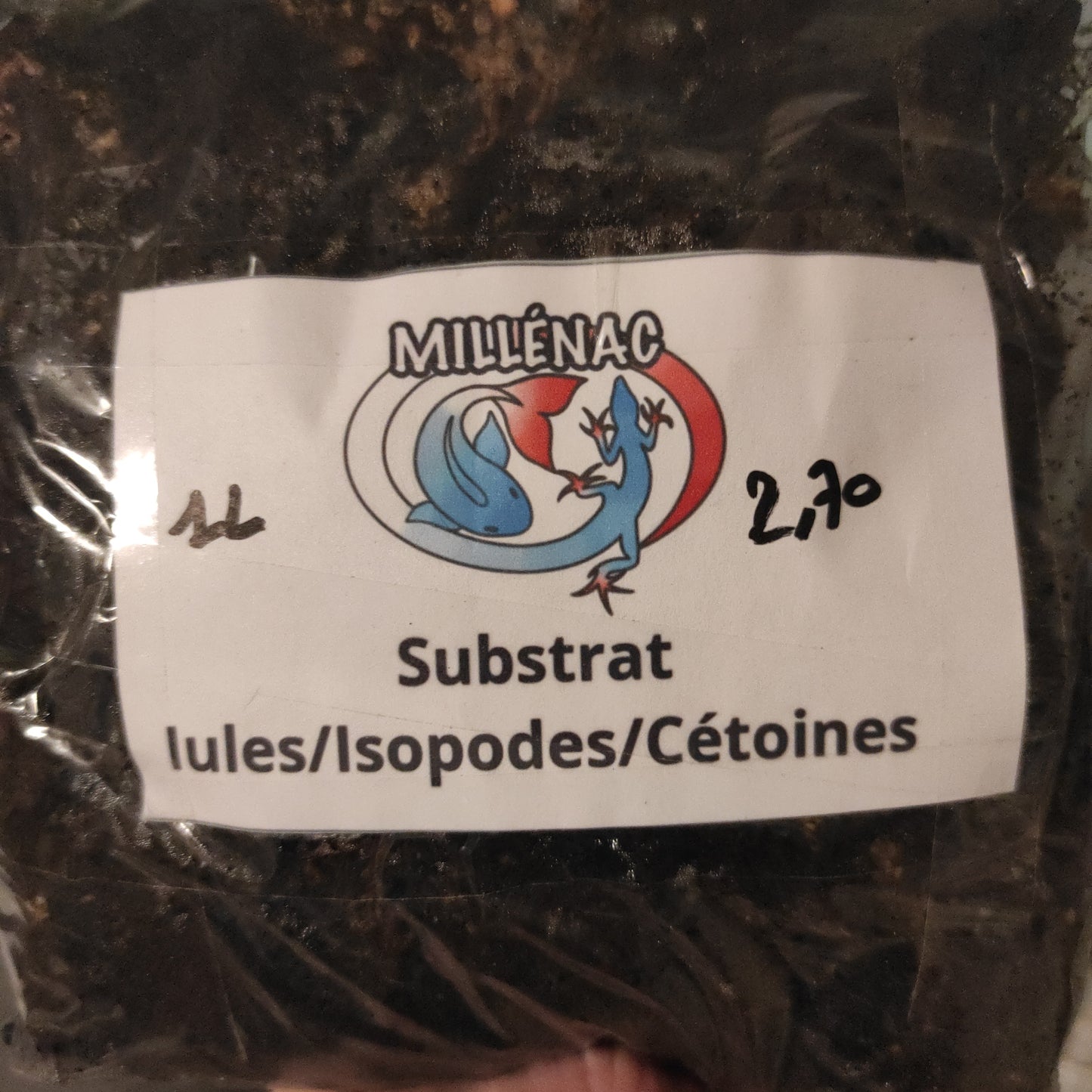 Substrat isopodes/iules/cétoines