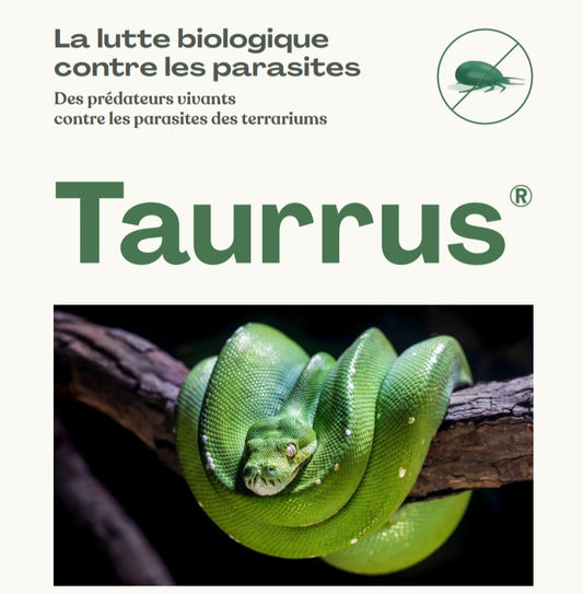 Taurrus